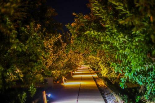 Hotel Ranthambore Tiger Inn Comfort Resort