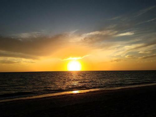 Spacious And Private Pool House, 15 Min To Beach