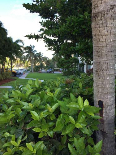 Apartamento Disfruta Sunny Isles Ocean 1206
