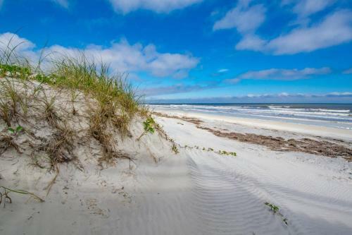 Sand Dollar #205