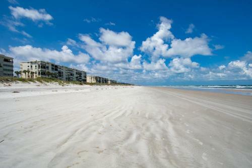 Sand Dollar #205
