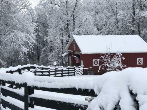 Hostal Open Gate Farm