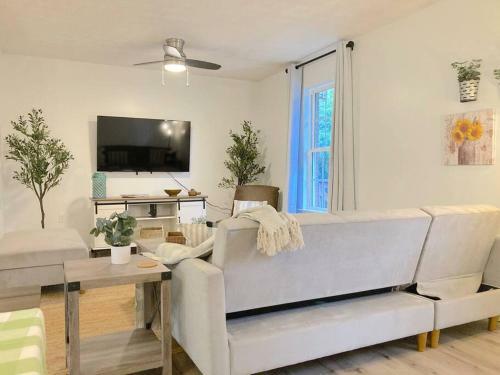 Newly Renovated Townhome With Three King-size Beds