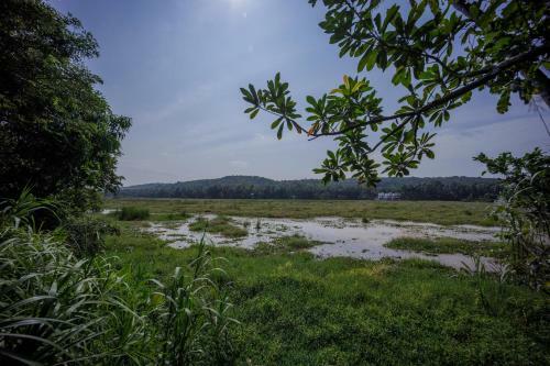 Villa Loto Bianco By Hireavilla, Siolim