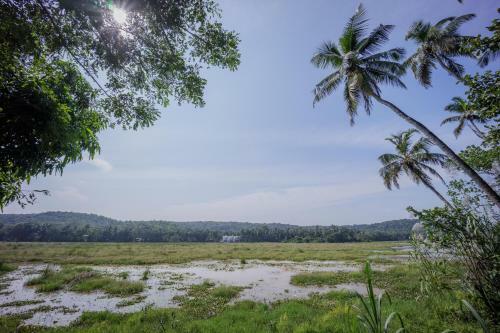 Villa Loto Bianco By Hireavilla, Siolim