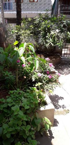 Spice Cottage Homestay
