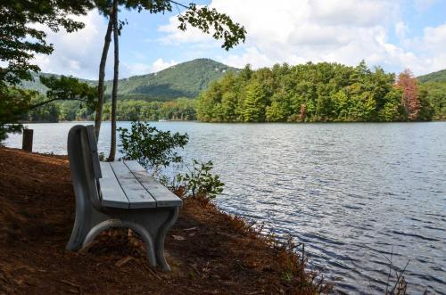 Home With Resort-style Amenities In Big Canoe!
