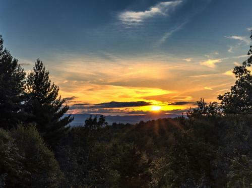 Among The Pines - Above The Rest Luxury Cabins