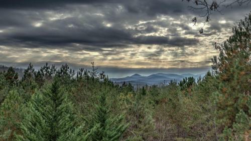 Woodland Haven By Escape To Blue Ridge