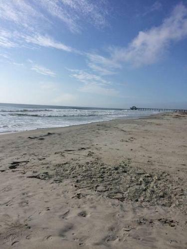 Apartamento Tranquil Marsh Setting Minutes To Savannah & Tybee