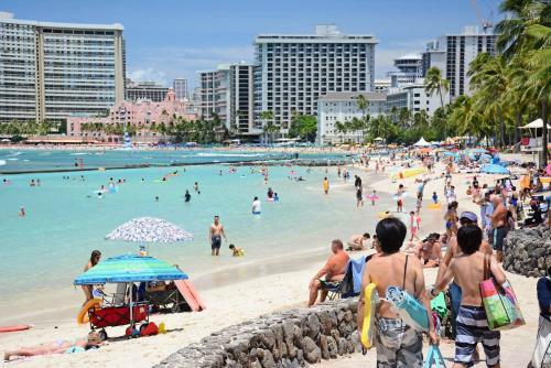 Waikiki Banyan #2002t1
