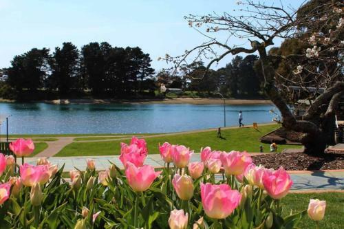 Apartamento Zoo Villas : Villa Zebra - Central Wynyard
