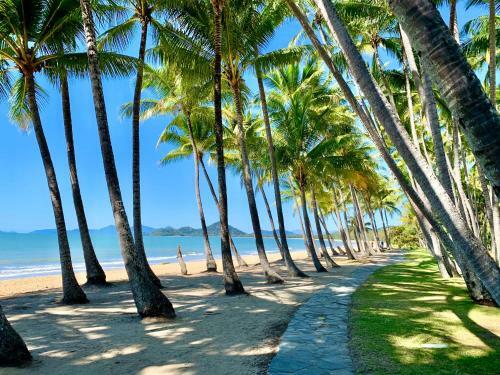 Palm Cove Beachside Apartment - Pool And Garden View
