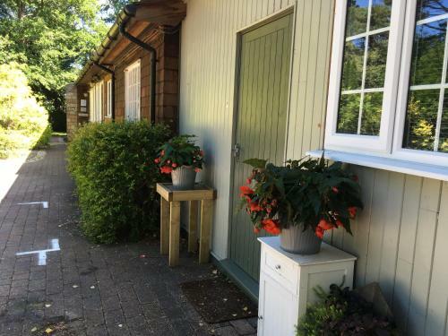 Bed & Breakfast Petherton Cottage