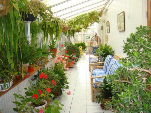 Hostal Diamond House