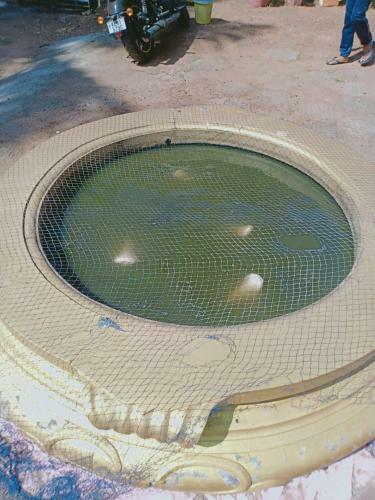 Hotel Mohans Ayurvedic Beach Resort