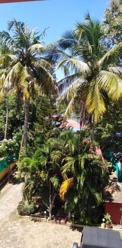 Hotel Mohans Ayurvedic Beach Resort