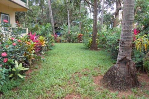 Hostal Kamat Guest House