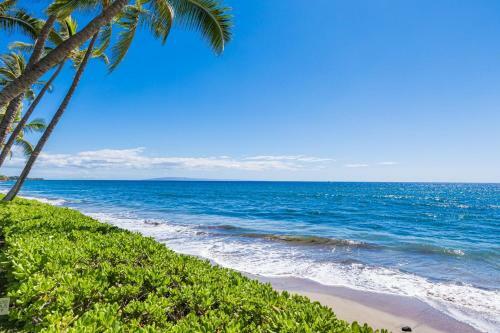 150-4 Oceanfront Puamana
