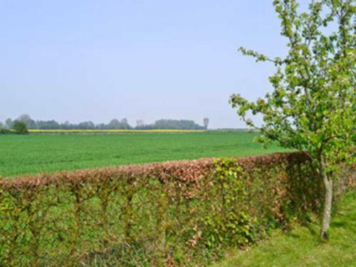 Willows Barn