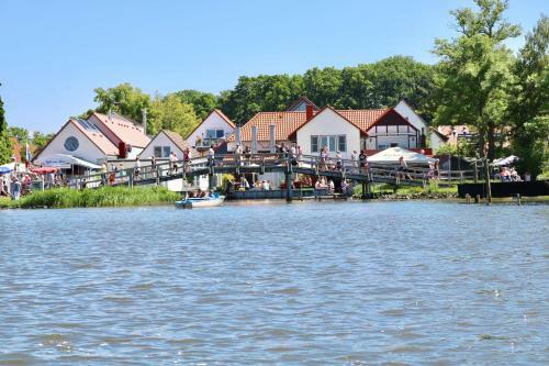 Apartamento Ferien-whg M�we N�he Steinhuder Meer