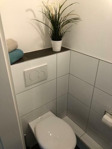 Apartamento Friesenhof 8h