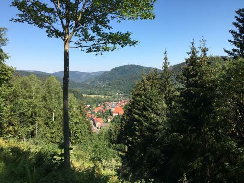 Apartamento Ferienwohnung Hahnenklee 5/138
