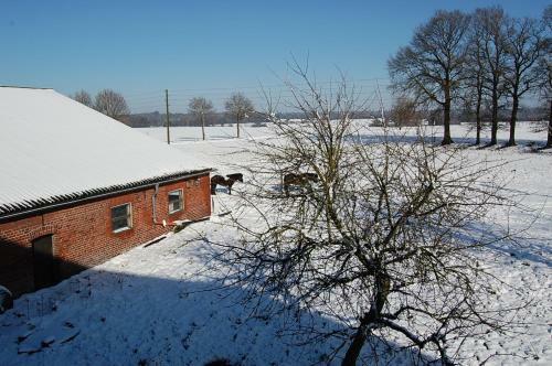 Agroturismo Kreativhof Lehmberg