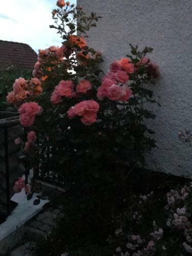 Apartamento Ferienwohnung Mit Terrasse Bei N�rnberg