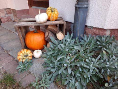 Apartamento Ferienwohnung -main- Ruheplatz Am Wasser