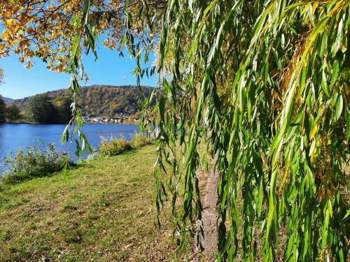 Apartamento Ferienwohnung -main- Ruheplatz Am Wasser