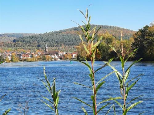 Apartamento Ferienwohnung -main- Ruheplatz Am Wasser