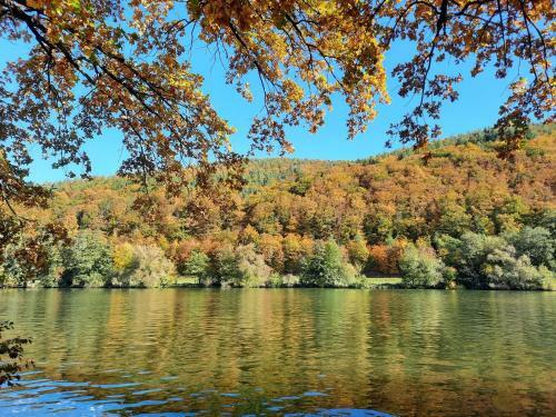 Apartamento Ferienwohnung -main- Ruheplatz Am Wasser