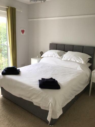 Beautiful Large 4-bed House Close To Celtic Manor