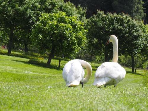 Immaculate 1 Bed Apartment In Pitlochry Scotland