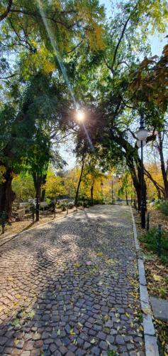 Apartamento Sweet Dreams Suites Cismigiu Gardens