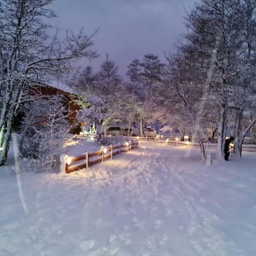 Caba�as Bosque Nevado
