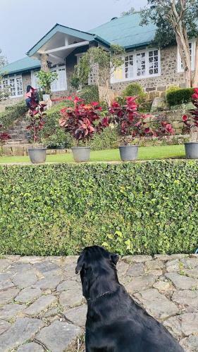 Hotel Bloomsdale Country House