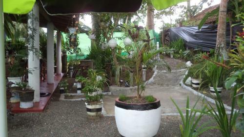 Hikka Bird Hostel