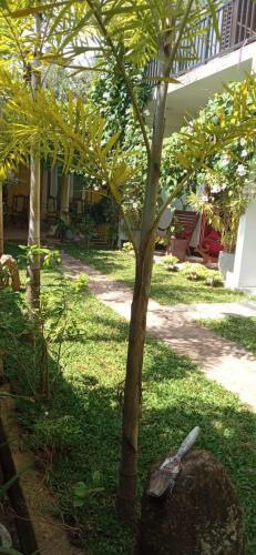 Bed & Breakfast Mandara Rest