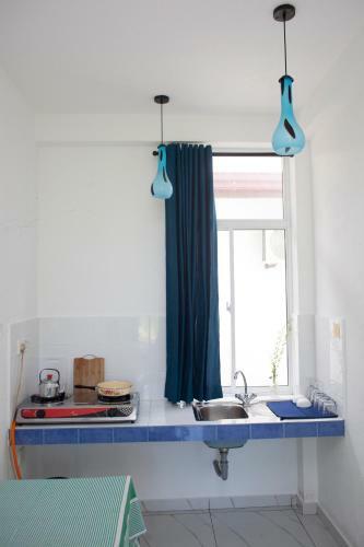 Hostal Alvas House