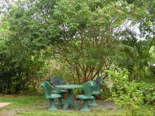 Hostal River Face Villa