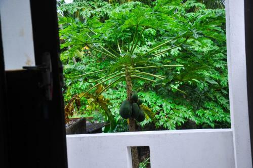 Bed & Breakfast Gem Light Guest House Hikkaduwa