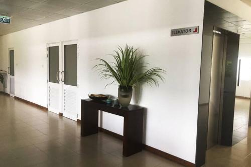 One Bed Room Apartment With Living And Kitchen