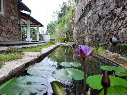 Villa Happy Stones Holiday Bungalow