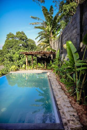 Albergue Banana Bunks