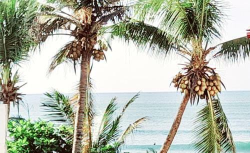 Apartamento The Ocean Villa