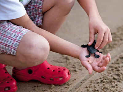 Hotel Los Angeles Locos