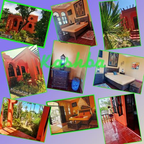 Hotel Zhang Resort And Dive Center Opc