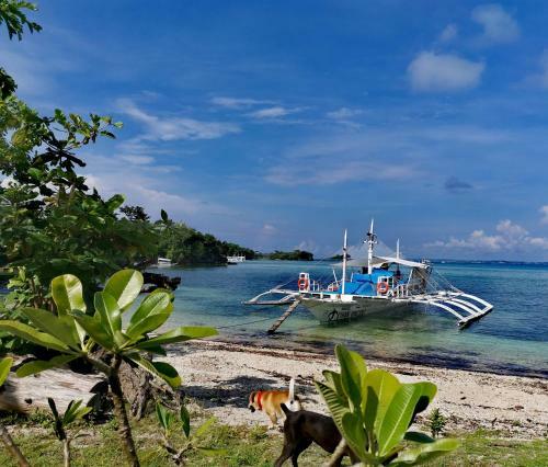 Hotel Zhang Resort And Dive Center Opc